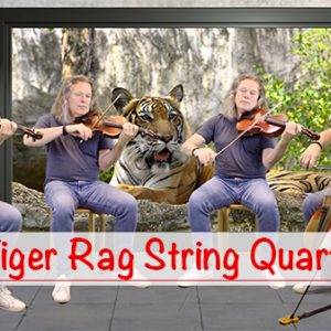 Tiger Rag Quartet Full Score